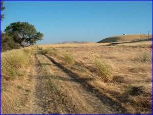 San Luis Track