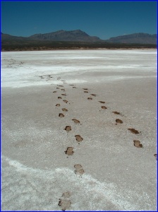 Lucero Footprints
