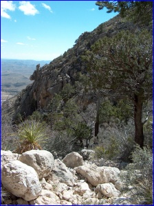 The so-called trail in Bear Canyon
