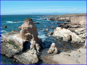 Coast Rocks