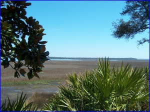 the Crooked River estuary