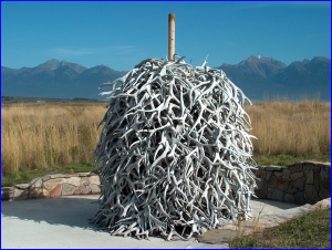 This pillar of discarded antlers was at the National Bison Range