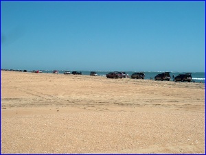 Beach Trucks