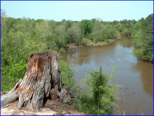 Neuse River