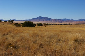 Davis Mountains vista