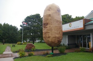 The Big Spud