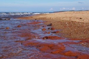 Cavendish Beach