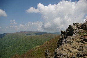 View from Hawksbill