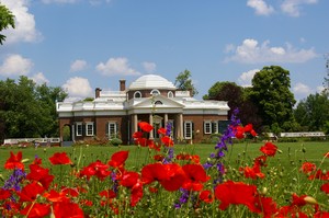 Monticello Poppies