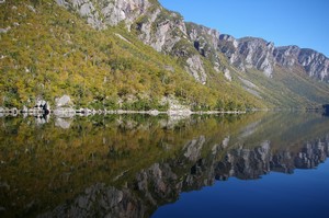 Western Brook Reflections