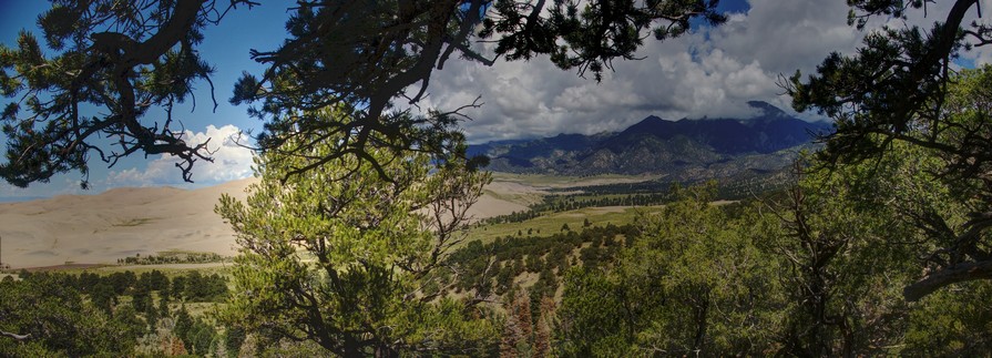 View from the Dunes Overlook Trail