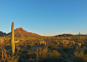 Gilbert Ray Campground, Tucson Mountain Park, Arizona