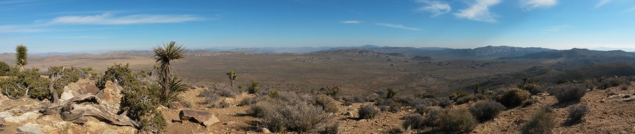 View from Ryan Mountain