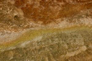 Detail at Jupiter Terrace, Mammoth Hot Springs