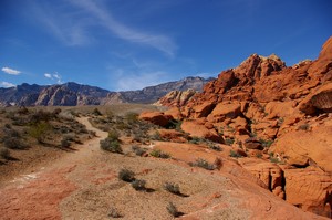 Calico Hills Trail