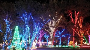 Christmas Lights, California Living Museum, California
