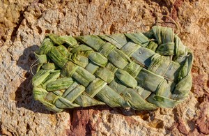 Yucca Sandal