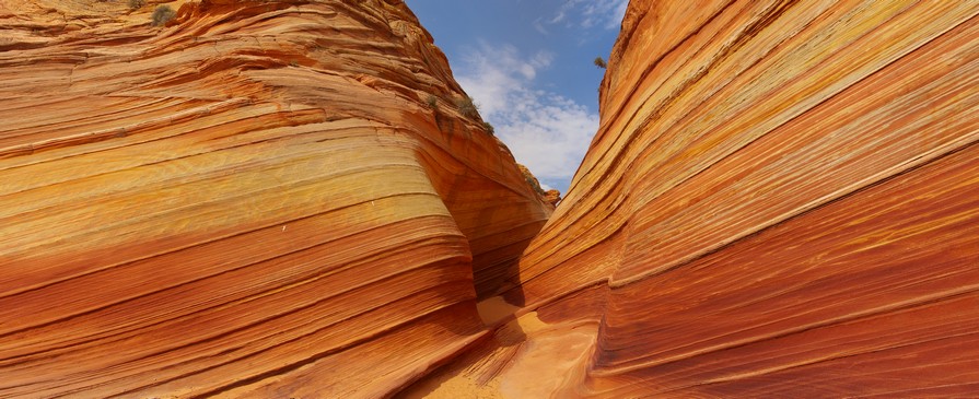 The Wave Side Canyon