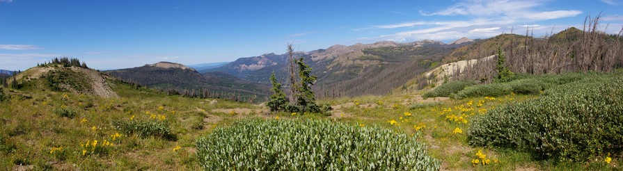 From the Continentail Divide Trail