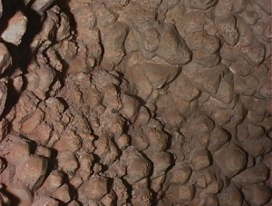 A typical formation in Jewel Cave National Monument