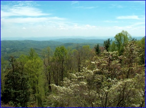 View from the Blue Ridge, with Dogwood