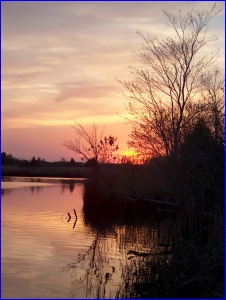 Sunset in the Croatan National Forest